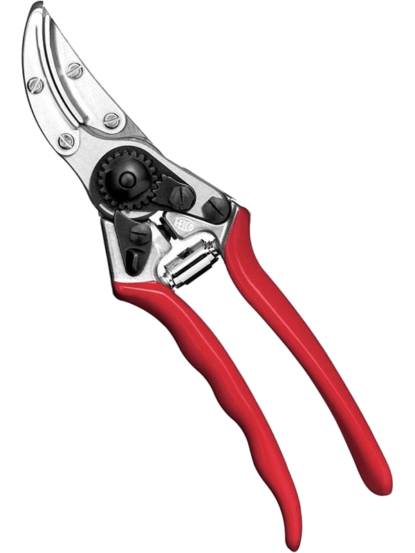 Sécateur