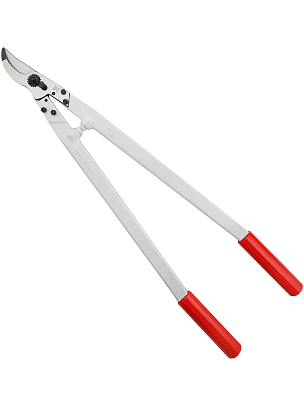 Sécateur