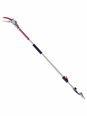Long Reach Shear
