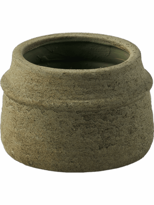 Chive