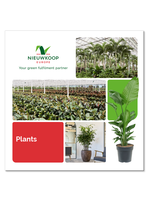 Les plantes Brochure