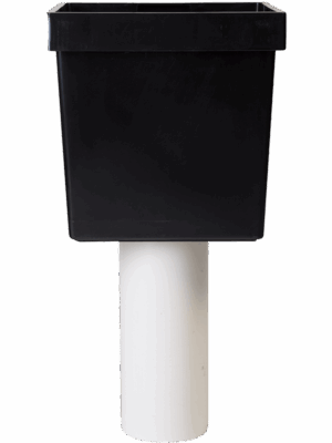 Baq Ecoline Phoenix