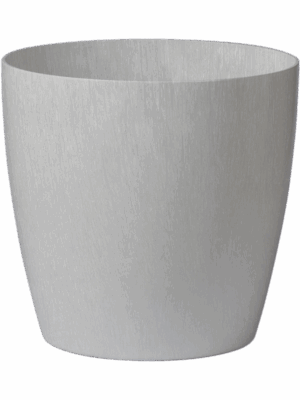 Baq Ecoline Phoenix Regular
