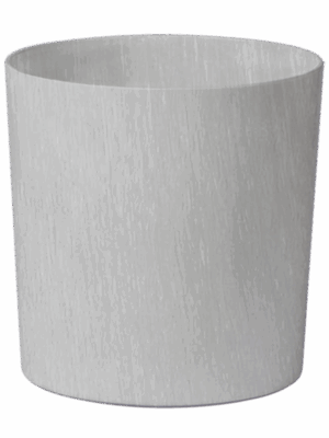 Baq Ecoline Rise Regular