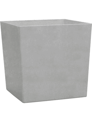 Baq Ecoline Rise Regular