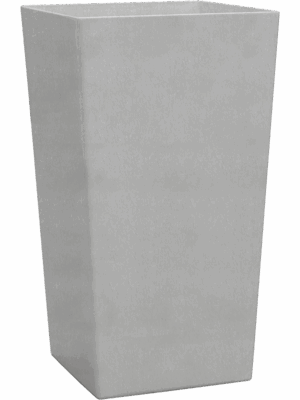 Baq Ecoline Rise Regular