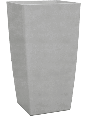 Baq Ecoline Phoenix Regular