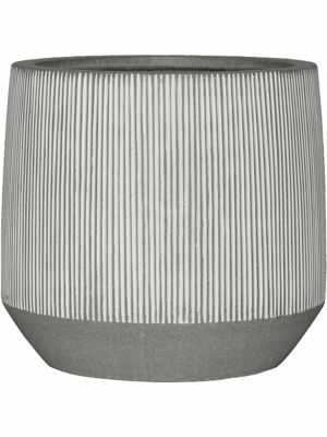 Ridged