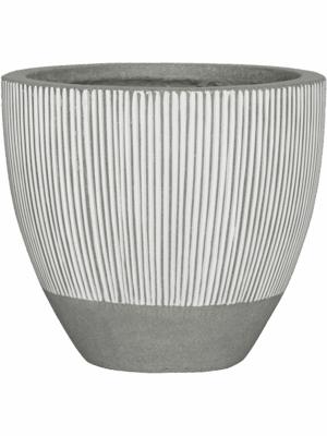 Ridged