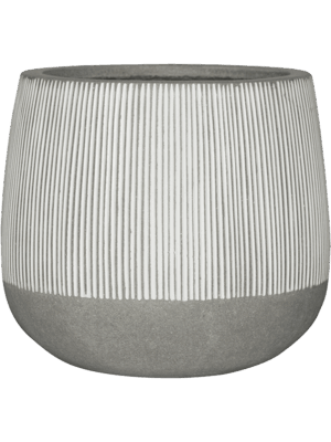 Ridged