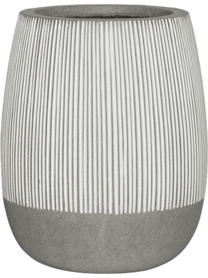 Ridged