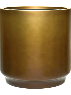Baq Gradient
