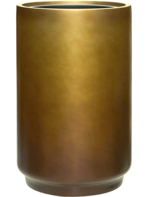 Baq Gradient
