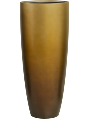 Baq Gradient