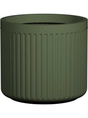 Ionic