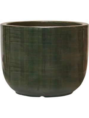 Plain Striped