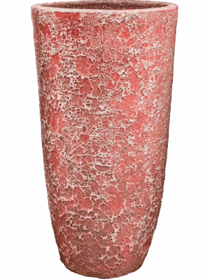 Baq Lava