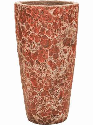 Baq Lava