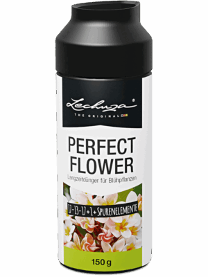 Lechuza Perfect Flower