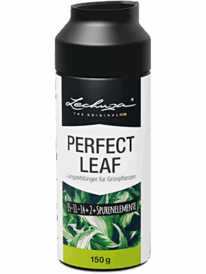 Lechuza Perfect Leaf