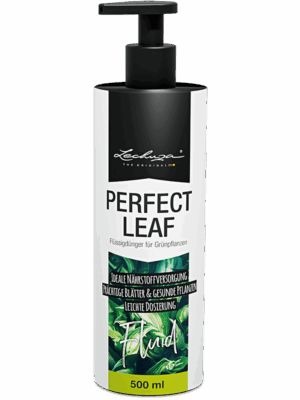 Lechuza Perfect Leaf
