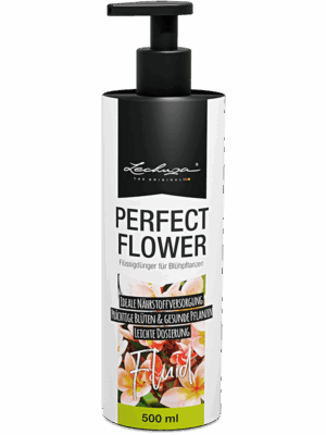 Lechuza Perfect Flower