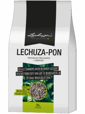 Lechuza