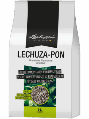 Lechuza