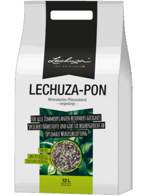 Lechuza