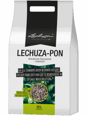 Lechuza