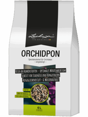 Lechuza