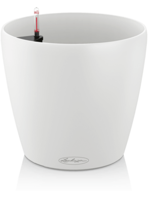Lechuza Classico Color 60