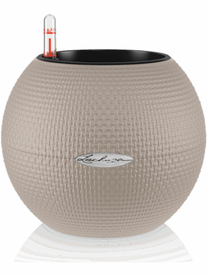 Lechuza Puro Color 20