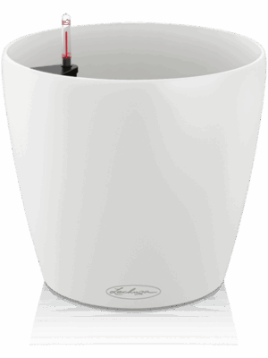 Lechuza Classico Color 70