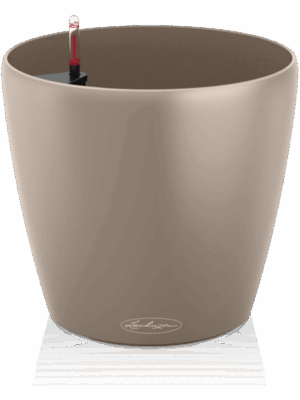 Lechuza Classico Color 70