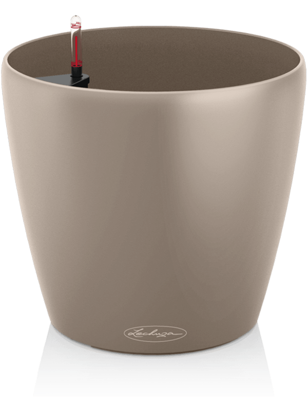 Lechuza Classico Color 70