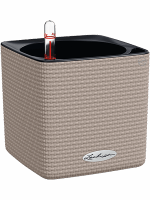 Lechuza Cube Color 14