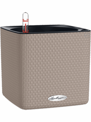Lechuza Cube Color 16