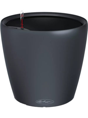 Lechuza Color Classico LS 21
