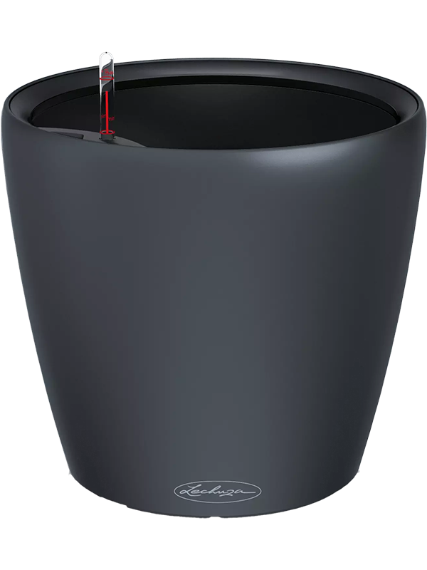 Lechuza Color Classico LS 21