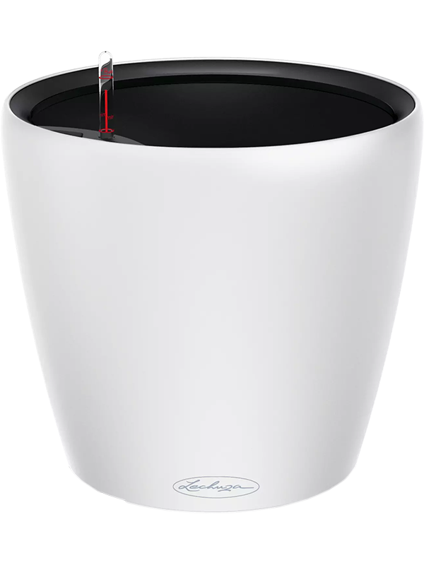 Lechuza Color Classico LS 28