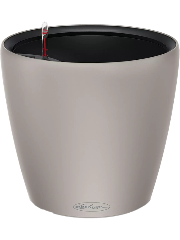 Lechuza Color Classico LS 28