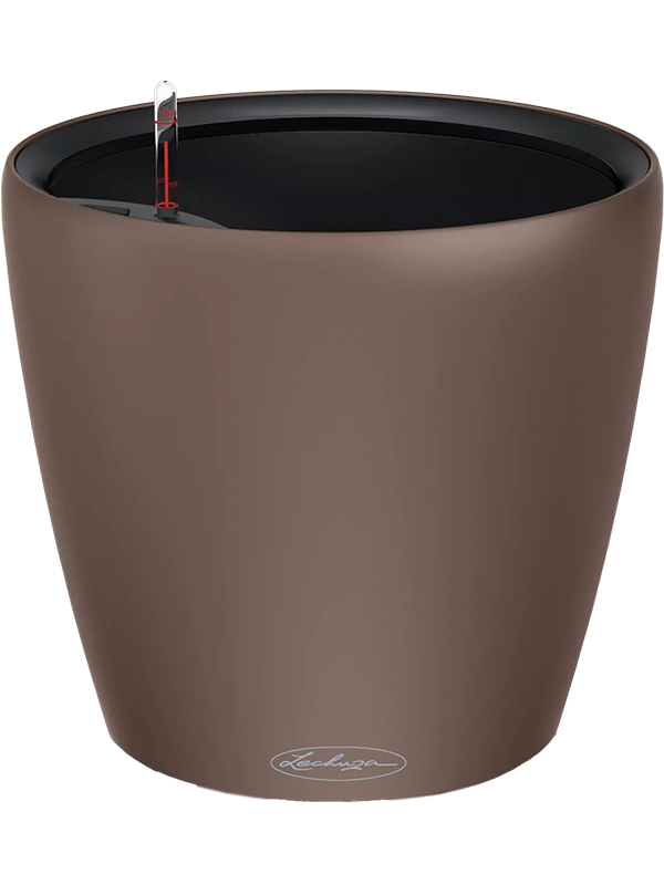 Lechuza Color Classico LS 35