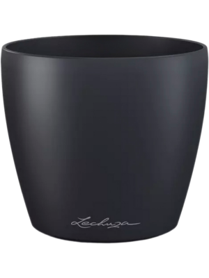 Lechuza Classico Color Deco 10