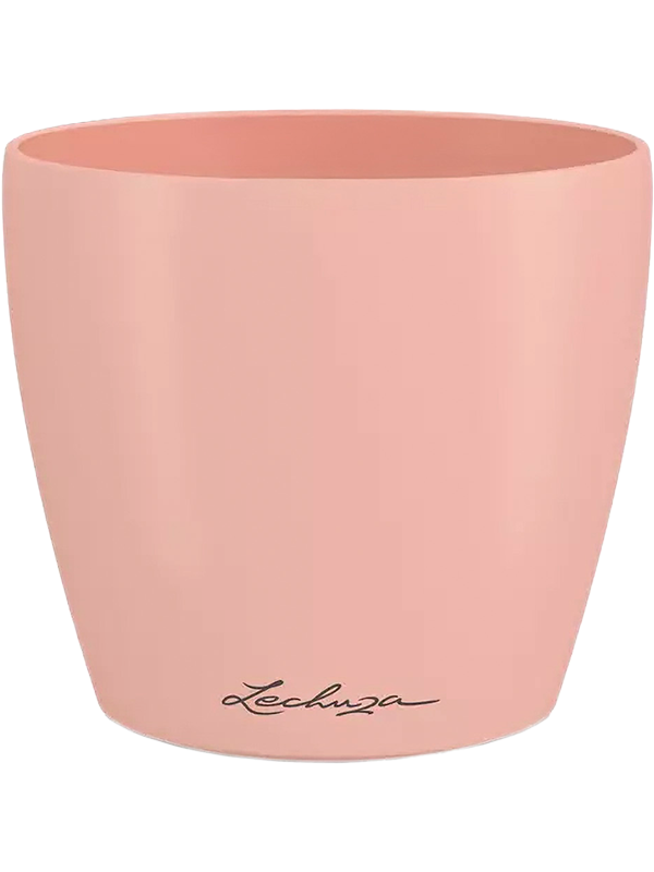 Lechuza Classico Color Deco 10