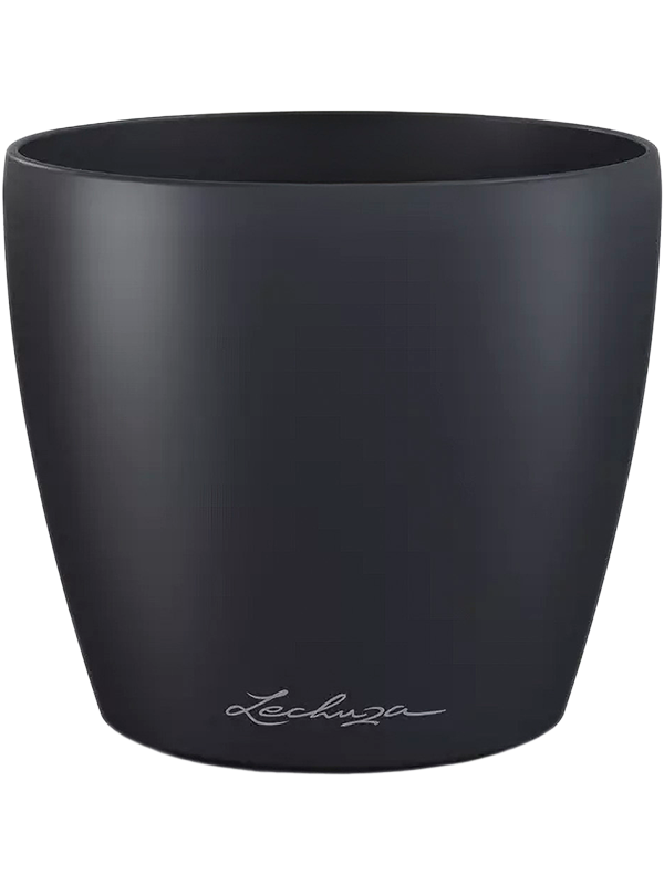 Lechuza Classico Color Deco 12