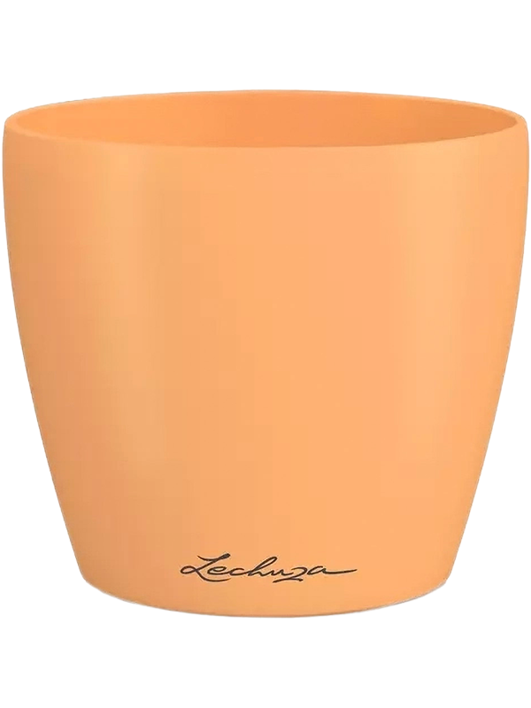 Lechuza Classico Color Deco 12