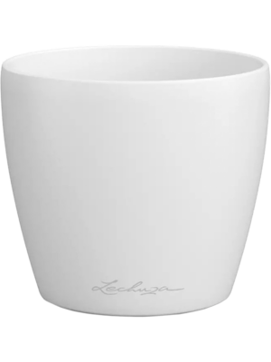 Lechuza Classico Color Deco 14