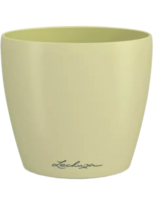 Lechuza Classico Color Deco 14