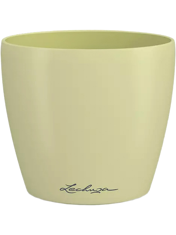 Lechuza Classico Color Deco 14
